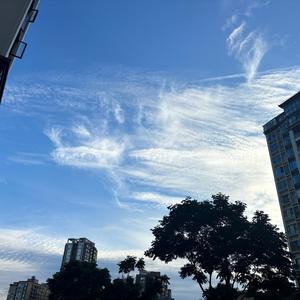 蜀道唔头像