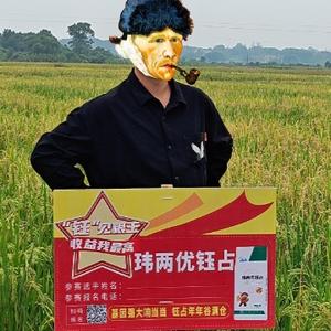 田野之声头像