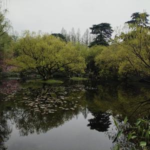 健康顾问~丽姐头像