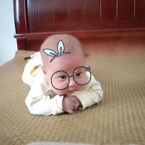 猪猪三姐弟 头像