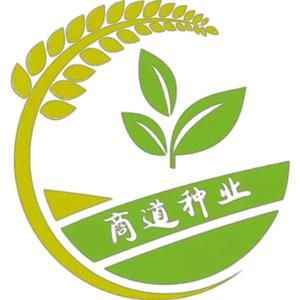 商道种业头像