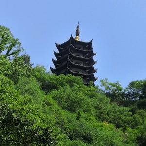 三哥丁头像