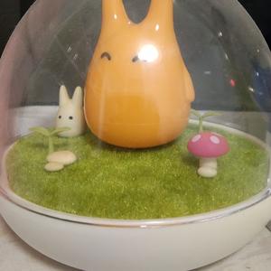 皖西解说头像