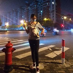 禾呈木南旧事头像