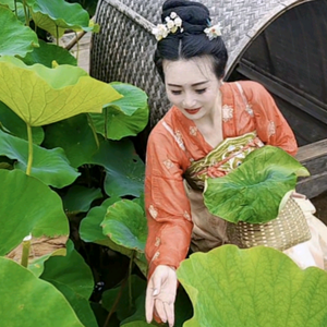 黄岩火凤凰头像