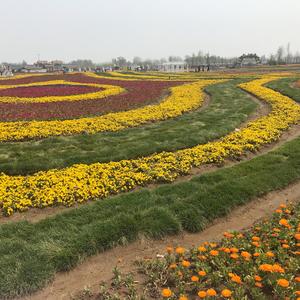 传故说事头像