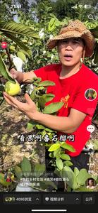 乡音哥果园头像