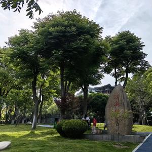 清涧幽谷2w2z头像