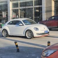 young阳得意头像