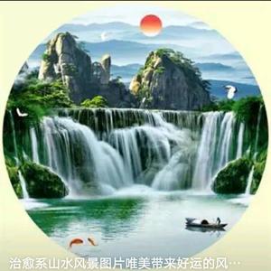 晨鹰头像