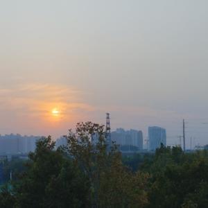 两目海谈头像