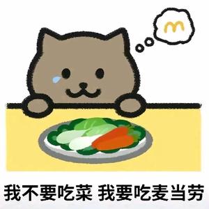 胖猫头像