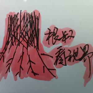 根叔看视界头像