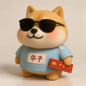 加密华子哥头像