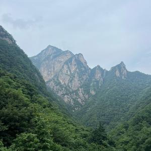 森先生头像