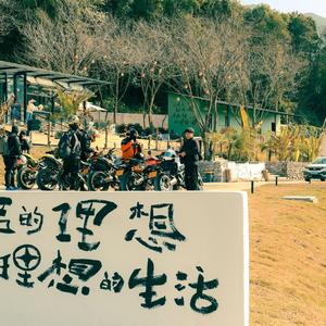 懂你如我头像