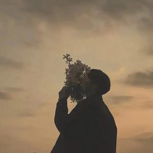 清风忘明月头像