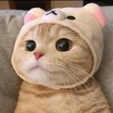 喂脑袋吃饭头像