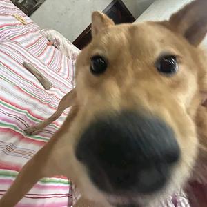 热情的钢琴5n头像