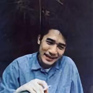 那匹马头像