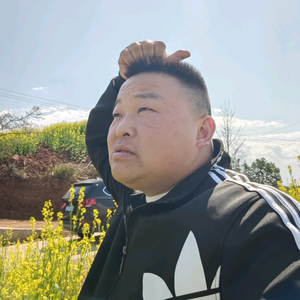 五剂土鸡煲——肖不动头像
