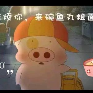 鱼丸粗面头像