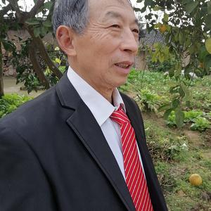杨哥聊养老头像