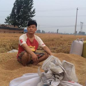 张吉头像