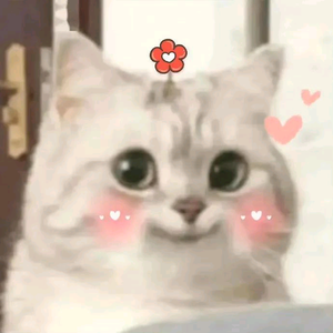 哥只你的名字头像