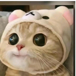 AAA晓晓阳阳头像