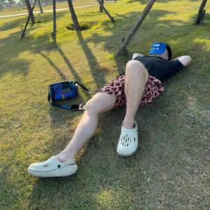 一个爱剪视频的鸽子王头像