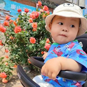 风趣清风l1头像