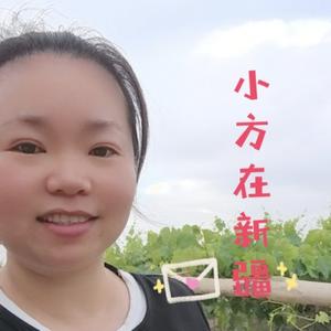 小方在新疆头像