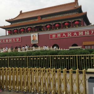 记忆是阵阵头像
