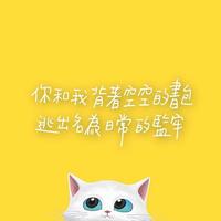 爱音乐Frenemy头像