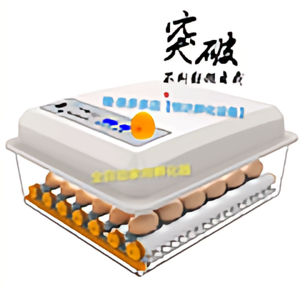 亲多多店恒达孵化设备头像