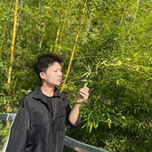 头发乱了头像
