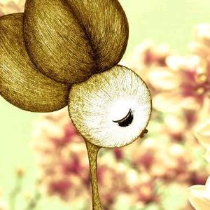 qiuqian头像