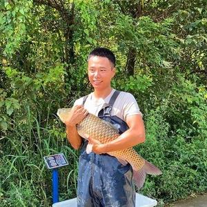 白石金哥头像