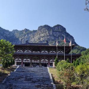 木可小乐头像