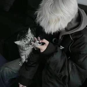 爱说事的小达头像