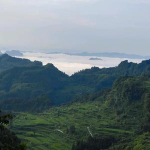 湘西阿坤头像