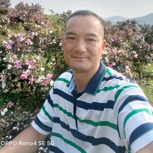山里的十八哥头像