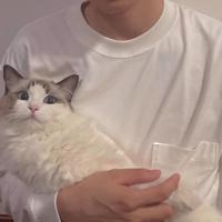 LYFfff头像