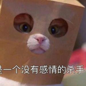 轻奢飞鱼头像