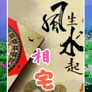 生态风水头像