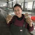 小琴家海鲜头像