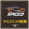 WILDCAR视频头像