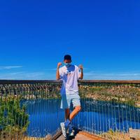 比亚迪海豹001头像