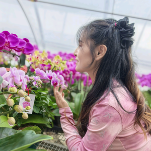 婷婷〔记录快乐时光〕头像